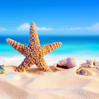 கடற்கரை வால்பேப்பர்கள்