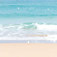 Beach Wallpaper