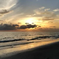 Animated Beach Live Wallpaper