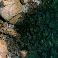 Beach Paradise Live Wallpaper